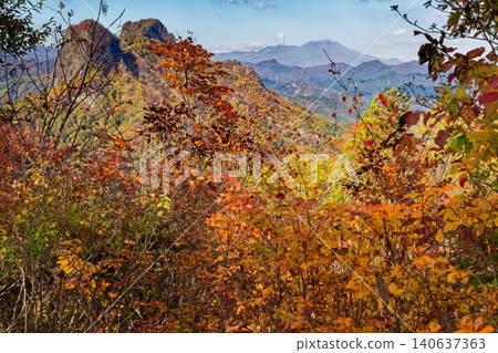 秋季賞楓時節,從上州西部的四又山眺望鹿岳和淺間山。 秋季賞楓時節,從上州西部的四又山眺望鹿岳和淺間山。 140637363