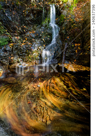 Autumn foliage in the streams of Yotsumata Mountain in western Joshu 140637396