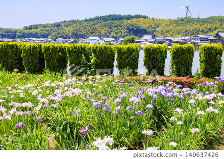 Kitagata Lake Iris Garden Kitagata Lake Iris Garden 140637426