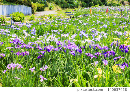 北形湖鳶尾花園 140637458