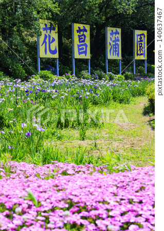 Kitagata Lake Iris Garden Kitagata Lake Iris Garden 140637467