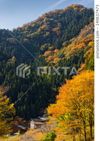 Autumn foliage in the mountain village at the trailhead of Mt. Yotsumata in western Joshu Autumn foliage in the mountain village at the trailhead of Mt. Yotsumata in western Joshu 140637473