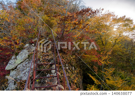 上州西部黑瀧山五郎峰岩脊上的秋葉。 上州西部黑瀧山五郎峰岩脊上的秋葉。 140638077