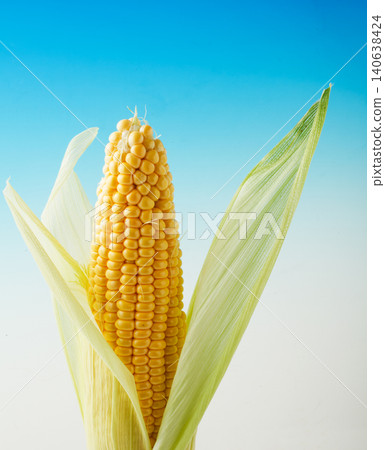 Corn (studio photography) 140638424