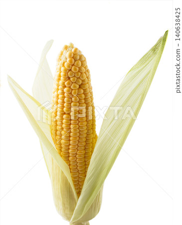 Corn (studio photography) 140638425