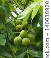 Onigurumi 140638920