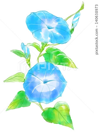 一幅手繪水彩插圖,描繪了盛開的淺藍色牽牛花。 一幅手繪水彩插圖,描繪了盛開的淺藍色牽牛花。 140638973