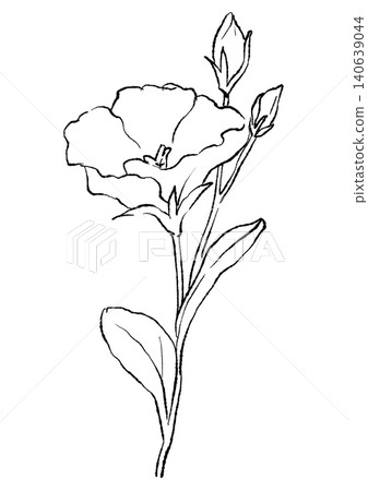 A hand-drawn line art illustration of blooming lisianthus flowers. A hand-drawn line art illustration of blooming lisianthus flowers. 140639044