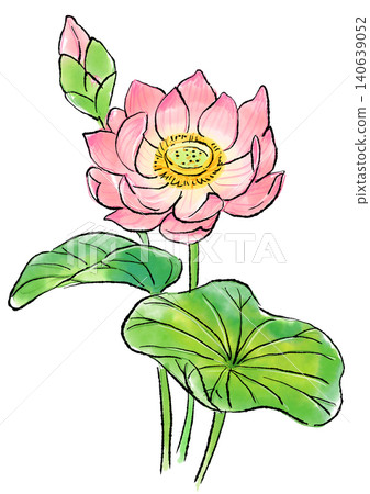 Hand-drawn line art and watercolor illustration of blooming lotus flowers Hand-drawn line art and watercolor illustration of blooming lotus flowers 140639052