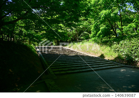 The scene of Maruyama Park in Sapporo, Hokkaido, Japan. The scenery of Maruyama Park in summer, which near Hokkaido Shrine. A public park in Japan. Nature and Travel scene. The scene of Maruyama Park in Sapporo, Hokkaido, Japan. The scenery of Maruyama Park in summer, which near Hokkaido Shrine. A public park in Japan. Nature and Travel scene. 140639087