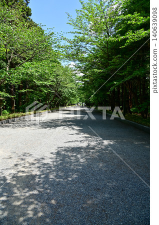 The scene of Maruyama Park in Sapporo, Hokkaido, Japan. The scenery of Maruyama Park in summer, which near Hokkaido Shrine. A public park in Japan. Nature and Travel scene. The scene of Maruyama Park in Sapporo, Hokkaido, Japan. The scenery of Maruyama Park in summer, which near Hokkaido Shrine. A public park in Japan. Nature and Travel scene. 140639098