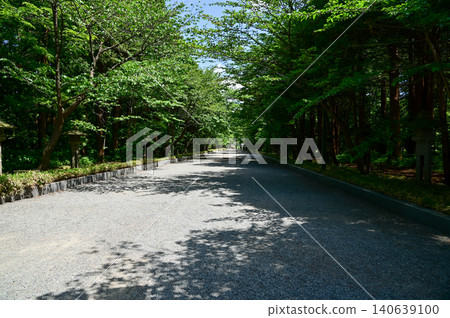 The scene of Maruyama Park in Sapporo, Hokkaido, Japan. The scenery of Maruyama Park in summer, which near Hokkaido Shrine. A public park in Japan. Nature and Travel scene. The scene of Maruyama Park in Sapporo, Hokkaido, Japan. The scenery of Maruyama Park in summer, which near Hokkaido Shrine. A public park in Japan. Nature and Travel scene. 140639100