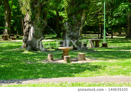 The scene of Maruyama Park in Sapporo, Hokkaido, Japan. The scenery of Maruyama Park in summer, which near Hokkaido Shrine. A public park in Japan. Nature and Travel scene. The scene of Maruyama Park in Sapporo, Hokkaido, Japan. The scenery of Maruyama Park in summer, which near Hokkaido Shrine. A public park in Japan. Nature and Travel scene. 140639105