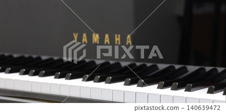 piano/keyboard piano/keyboard 140639472