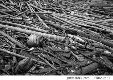 Pile of dried bamboo, coconut, and rope after flood. Grey picture of old wood. decadent wood. worthless and useless concept. Hopeless and despair concept. Time with the change of things. 140640585