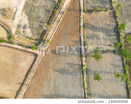 Aerial top view of planted cassava field in dry farmland, climate resilience and adaptation concept supporting food security, biofuel production and sustainable agriculture in tropical rural landscape Aerial top view of planted cassava field in dry farmland, climate resilience and adaptation concept supporting food security, biofuel production and sustainable agriculture in tropical rural landscape 140640806