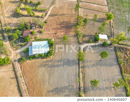 Aerial view of rural cassava farmland with structured soil rows and surrounding houses. Sustainable soil management practices, erosion control, and long term agricultural resilience for food security. 140640807