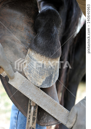 farrier farrier 140640963
