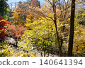 [Kanagawa Prefecture] Walking path deck dyed in autumn colors 140641394