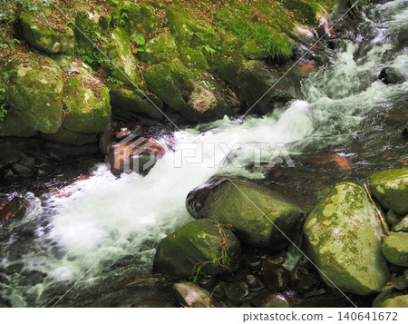 Shizuoka Prefecture, Namerizawa Gorge with its clear stream, May Shizuoka Prefecture, Namerizawa Gorge with its clear stream, May 140641672