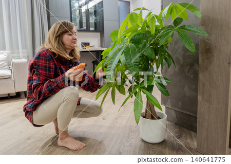 caucasian woman kneeling dusting potted plant in modern living room, focused expression, plaid shirt, barefoot on hardwood floor, microfiber cloth removing dust, sunlight streaming through window 140641775
