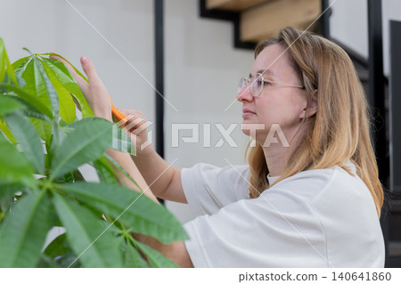 Woman carefully wiping plant leaf with soft cloth, concentrating on glossy surface, wearing glasses, close-up of hands and foliage. Clean minimalist interior, mindful maintenance, hobbyist detail Woman carefully wiping plant leaf with soft cloth, concentrating on glossy surface, wearing glasses, close-up of hands and foliage. Clean minimalist interior, mindful maintenance, hobbyist detail 140641860