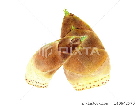 竹筍,富含膳食纖維,正當季-色鉛筆畫 竹筍,富含膳食纖維,正當季-色鉛筆畫 140642579