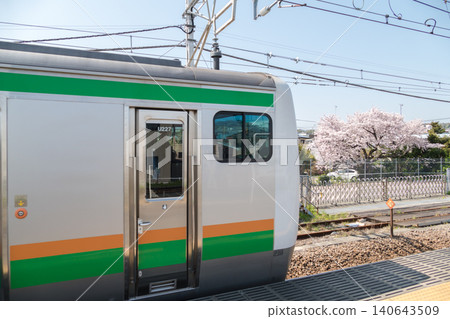 【東海道E233系列車與早川站的櫻花】 【東海道E233系列車與早川站的櫻花】 140643509