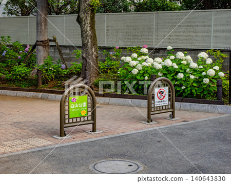 The car barrier at the entrance to Hakusan Park, surrounded by hydrangeas. The car barrier at the entrance to Hakusan Park, surrounded by hydrangeas. 140643830