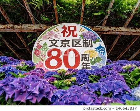 Low-angle view of the hydrangea wall commemorating the 80th anniversary of Bunkyo Ward's establishment. Low-angle view of the hydrangea wall commemorating the 80th anniversary of Bunkyo Ward's establishment. 140643837