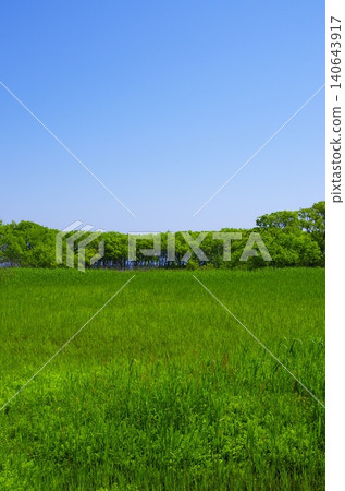 A natural landscape with a blue sky and lush green meadows. A natural landscape with a blue sky and lush green meadows. 140643917