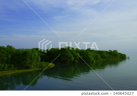 琵琶湖寧靜的湖岸和鬱鬱蔥蔥的森林景色 140645027