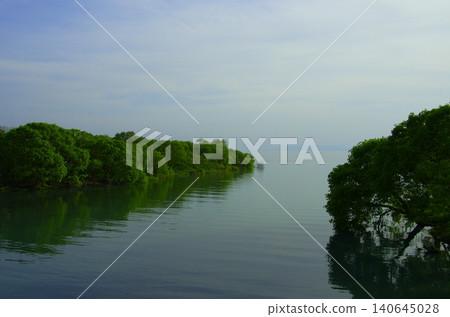 琵琶湖寧靜的湖岸和鬱鬱蔥蔥的森林景色 琵琶湖寧靜的湖岸和鬱鬱蔥蔥的森林景色 140645028