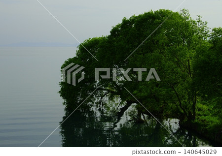 琵琶湖寧靜的湖岸和鬱鬱蔥蔥的森林景色 琵琶湖寧靜的湖岸和鬱鬱蔥蔥的森林景色 140645029