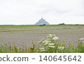 蕎麥田盛開著白色的花朵，還有聖米歇爾山 140645642