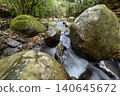 A stream flows between stones against the backdrop of a green forest. 140645672