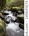 A white stream flows between many stones with the forest as a backdrop. 140645674