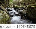 A white stream flows between many stones with the forest as a backdrop. 140645675