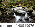 A white stream flows between many stones with the forest as a backdrop. 140645676