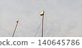 Spotlights against Clouds 140645786