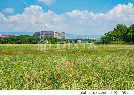 大阪市大石橋地區淀川公園 140645933