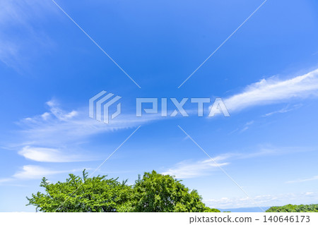 Early summer blue sky, clouds, and trees 140646173