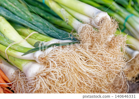 Fresh bunches of British spring onion Fresh bunches of British spring onion 140646331