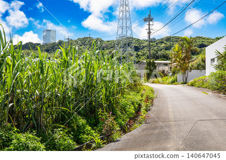 A peaceful, straight road stretching alongside Okinawa's blue skies and sugarcane fields. A peaceful, straight road stretching alongside Okinawa's blue skies and sugarcane fields. 140647045