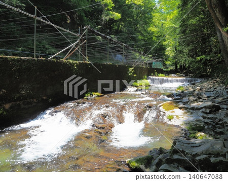 Shizuoka Prefecture: Wasabi fields, fresh greenery, and the Namezawa Gorge, May 140647088