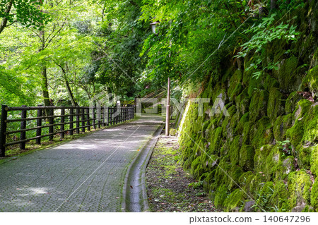 新鮮的綠色山路徑 140647296