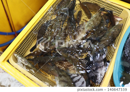 Fresh Fish in Yellow Basket at Market Fresh Fish in Yellow Basket at Market 140647339