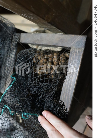 Hand Holding Coffee Bean Mesh Net in Wooden Box 140647346
