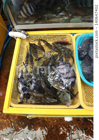 Fresh Fish in Market Display Container Fresh Fish in Market Display Container 140647402