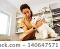 Compassionate Veterinary Care Young Asian Female Vet in Tan Scrubs Carefully Examines a White Westie Dog at a Bright Animal Clinic 140647571